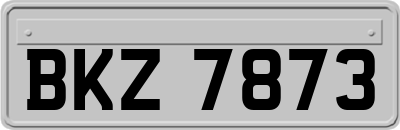BKZ7873