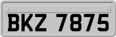 BKZ7875