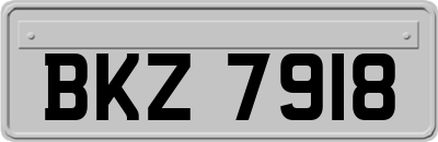BKZ7918