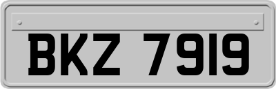 BKZ7919