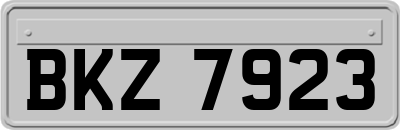 BKZ7923