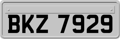 BKZ7929