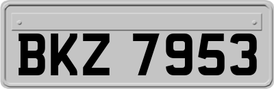 BKZ7953