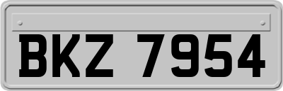 BKZ7954