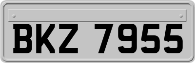 BKZ7955