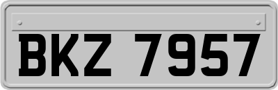 BKZ7957
