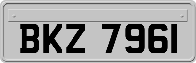 BKZ7961