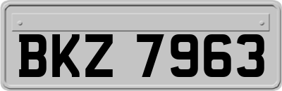 BKZ7963