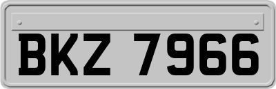 BKZ7966