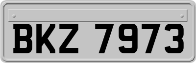 BKZ7973