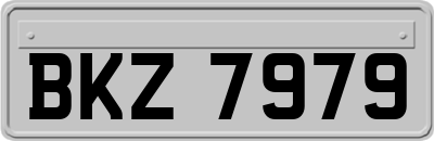 BKZ7979