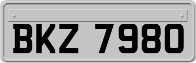 BKZ7980