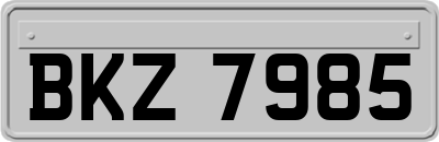 BKZ7985