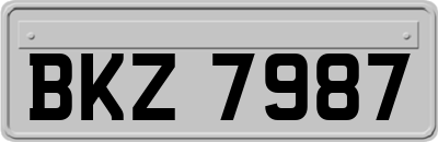 BKZ7987