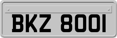 BKZ8001