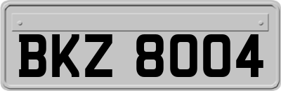 BKZ8004