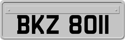 BKZ8011