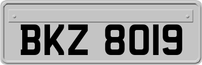 BKZ8019