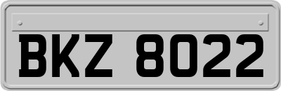BKZ8022