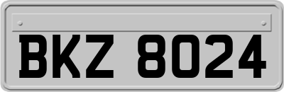BKZ8024