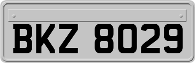 BKZ8029