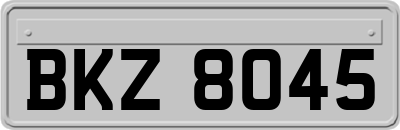 BKZ8045