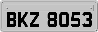 BKZ8053
