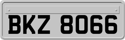 BKZ8066