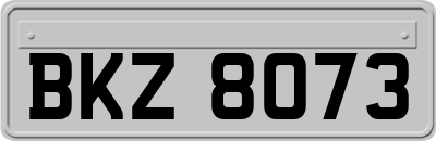 BKZ8073