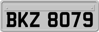 BKZ8079