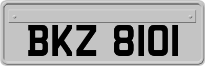 BKZ8101