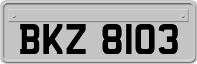 BKZ8103