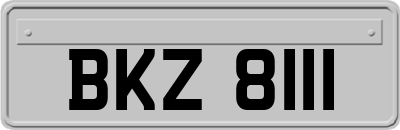 BKZ8111