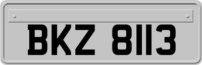 BKZ8113