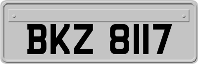 BKZ8117
