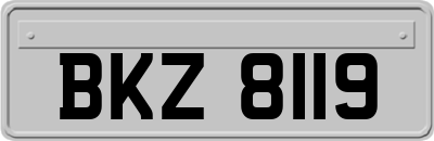BKZ8119