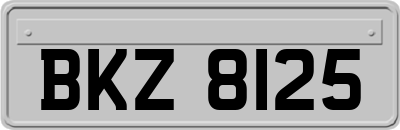 BKZ8125
