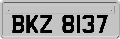BKZ8137