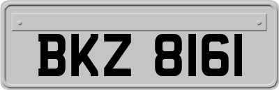 BKZ8161