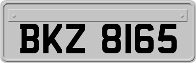 BKZ8165