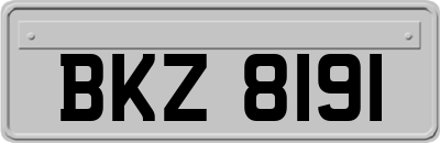 BKZ8191