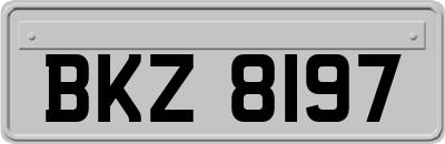 BKZ8197