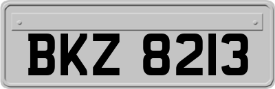 BKZ8213