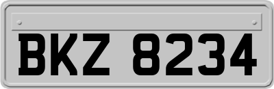BKZ8234