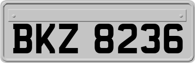 BKZ8236