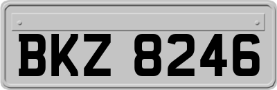 BKZ8246