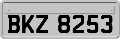 BKZ8253