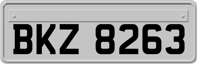 BKZ8263