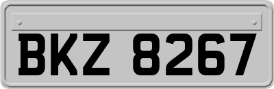 BKZ8267