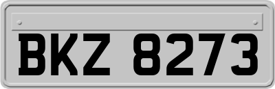 BKZ8273